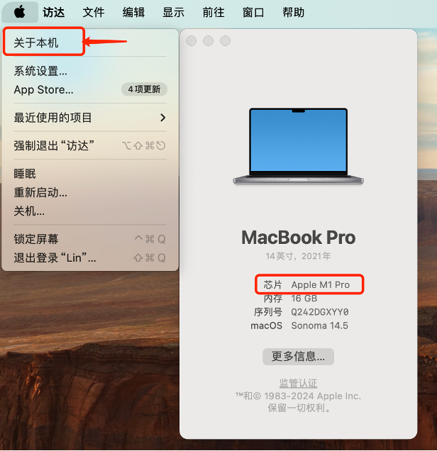 Apple芯片
